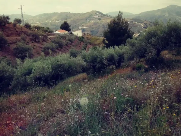 Spot image