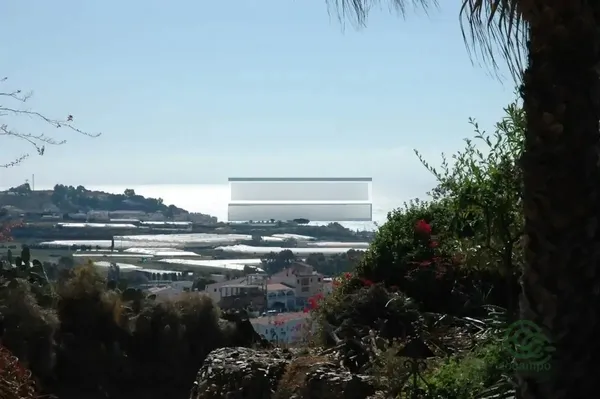 Finca agrícola de 0,76 ha en venta en Velez-malaga, Malaga