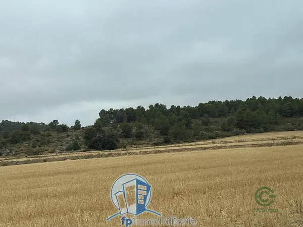 Spot image