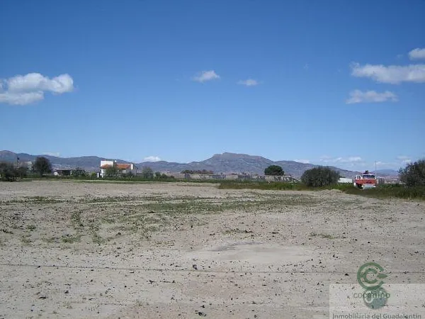 Spot image