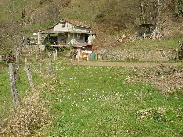 Spot image