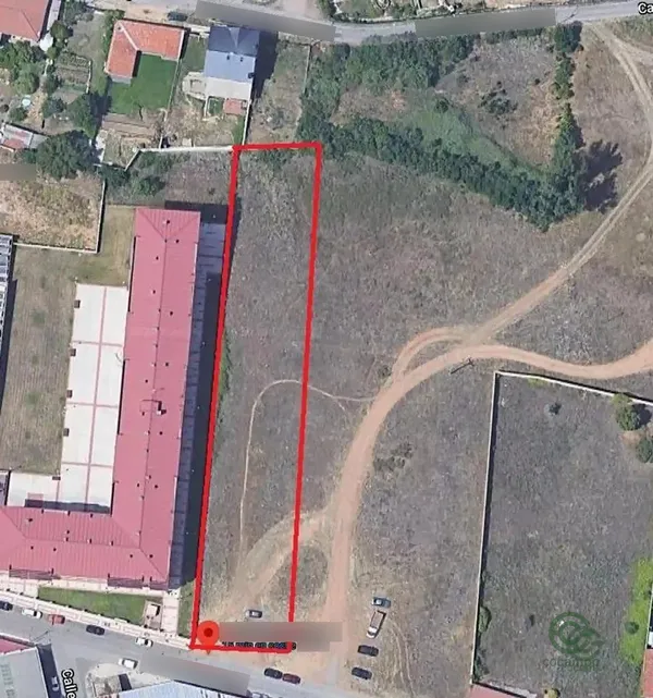 Spot image