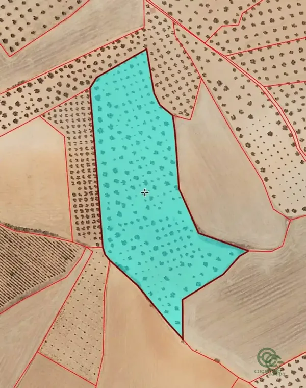 Finca agrícola de 3,09 ha en venta en Santa Cruz De Mudela, Ciudad Real