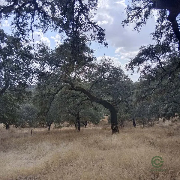 Finca rústica de 4,5 ha en venta en Aroche, Huelva