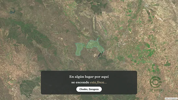 Spot image