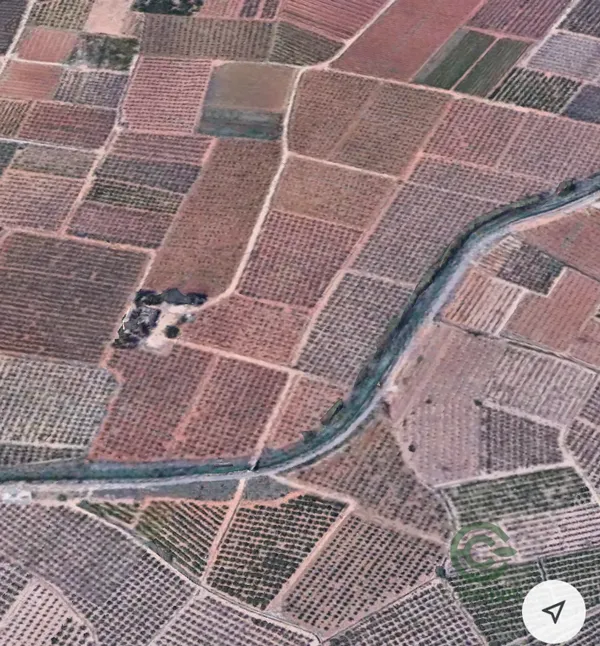 Spot image