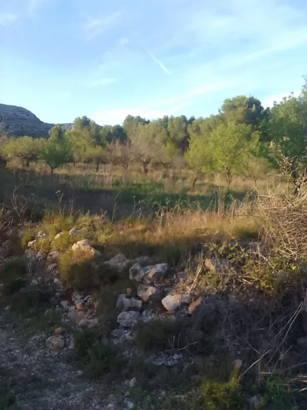 Spot image