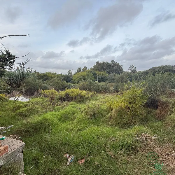 Finca rústica de 0,05 ha en venta en San roque, Cádiz