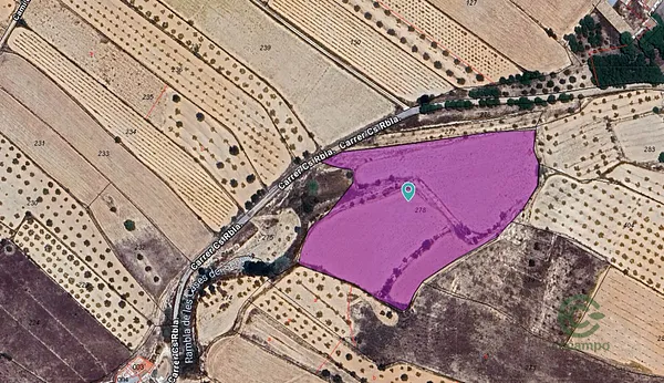 Spot image