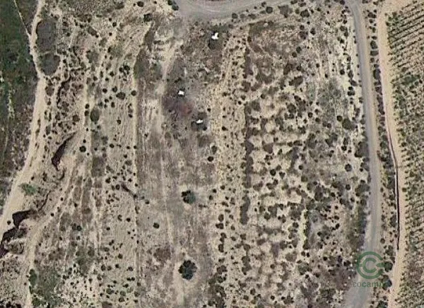 Spot image