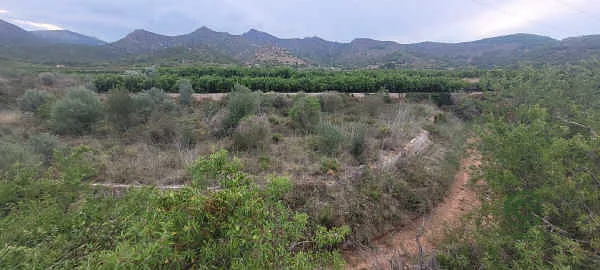 Finca rústica de 0,15 ha en venta en La Vall d'Uixó, Castellón