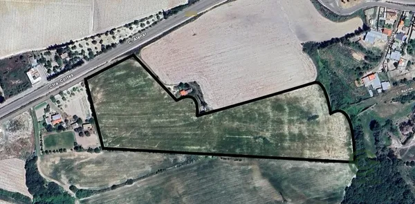 Spot image