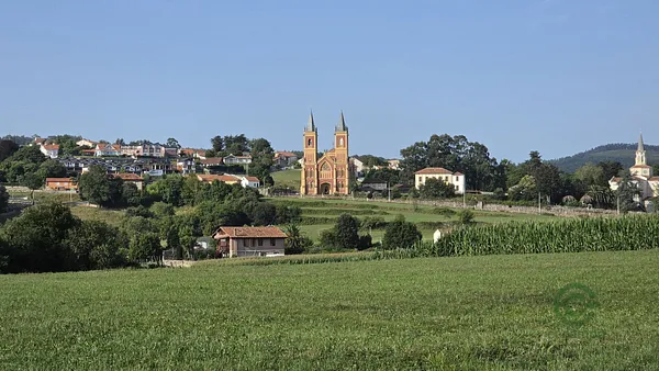 Spot image