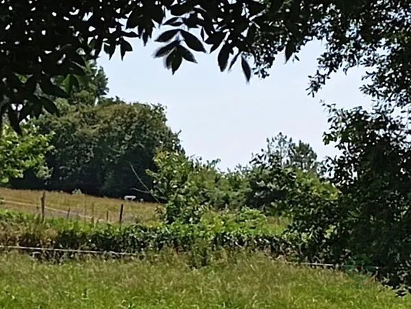 Finca rústica de 0,36 ha en venta en Vila de Cruces, Pontevedra