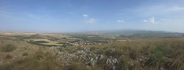 Spot image