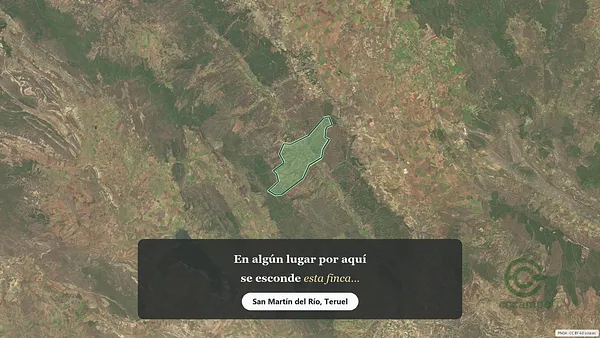 Spot image