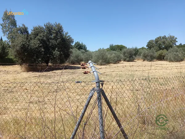Spot image