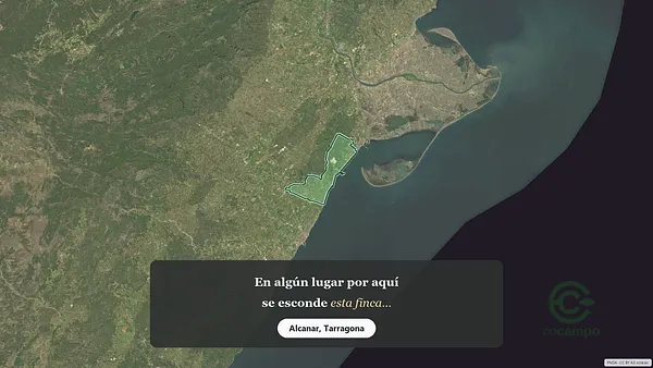 Spot image