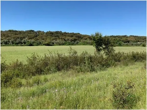 Finca rústica de 200 ha en venta en Codosera (La), Badajoz