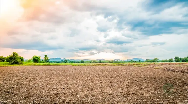 Finca agrícola de 16 ha en venta en Murcia