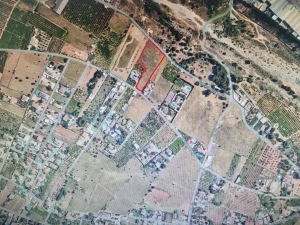 Spot image