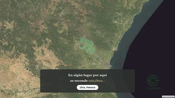 Spot image