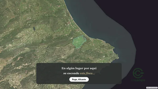 Spot image