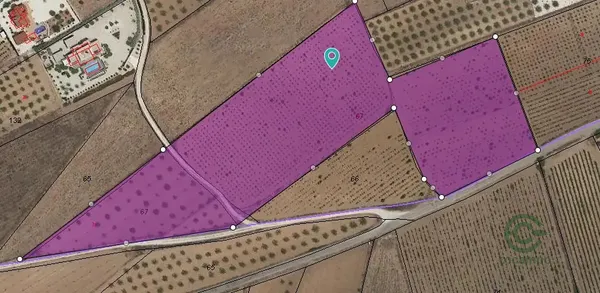 Spot image