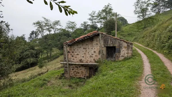 Spot image