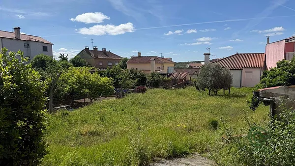 Spot image