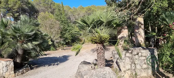 Spot image