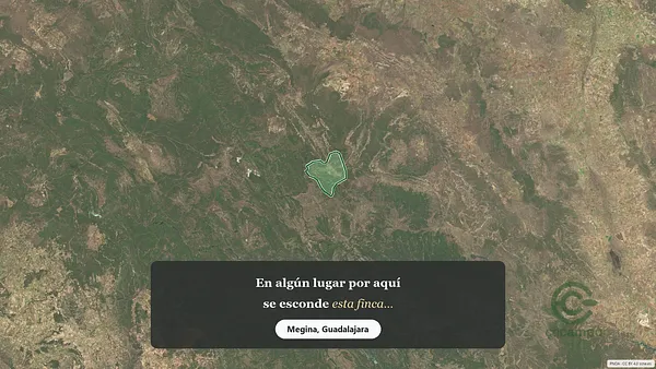 Spot image