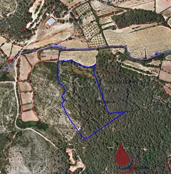 Spot image
