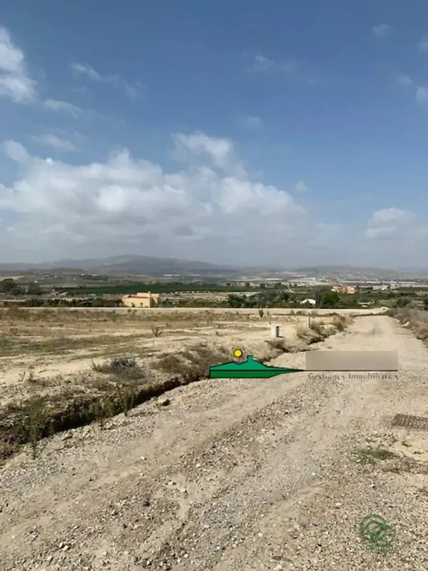 Spot image