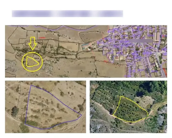 Spot image