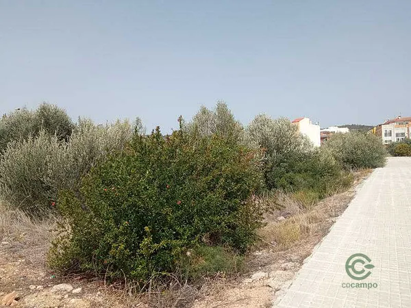 Finca rústica de 0,0619 ha en venta en Torreblanca, Castellón