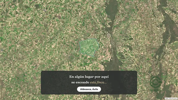 Spot image