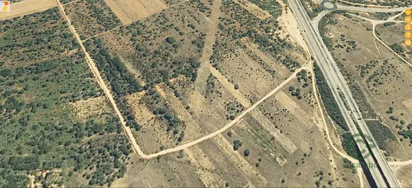 Spot image