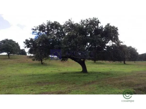 Finca rústica de 1400 ha en venta en Cáceres