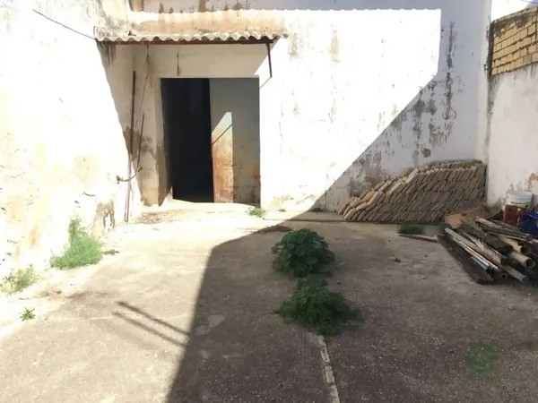 Spot image