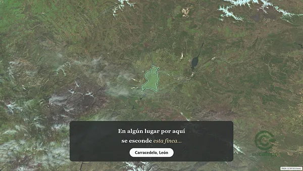 Spot image