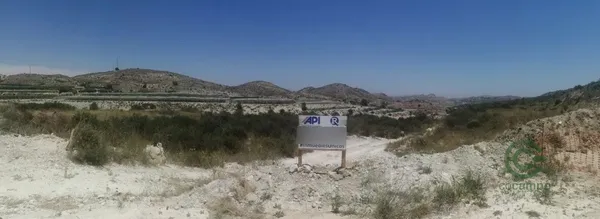 Spot image