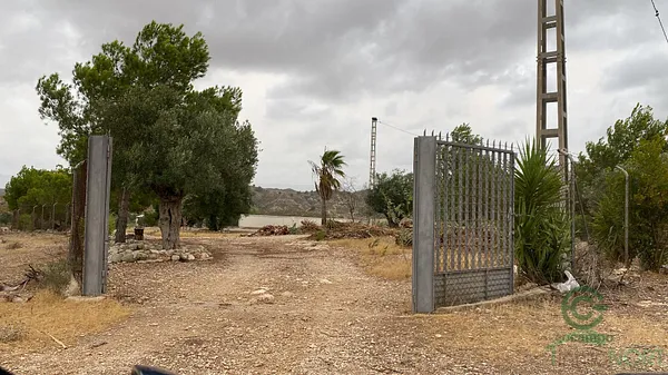 Spot image