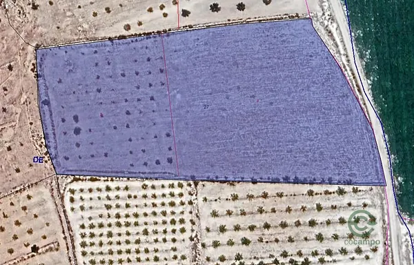 Spot image