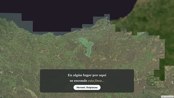 Spot image