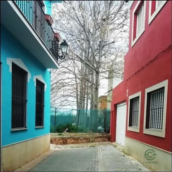 Spot image