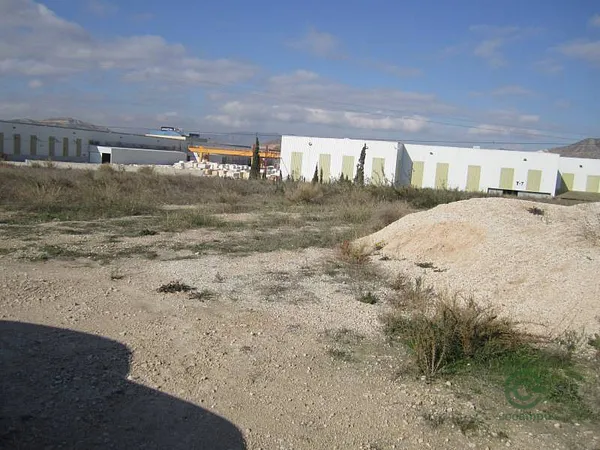 Finca rústica de 0,9 ha en venta en Novelda, Alicante