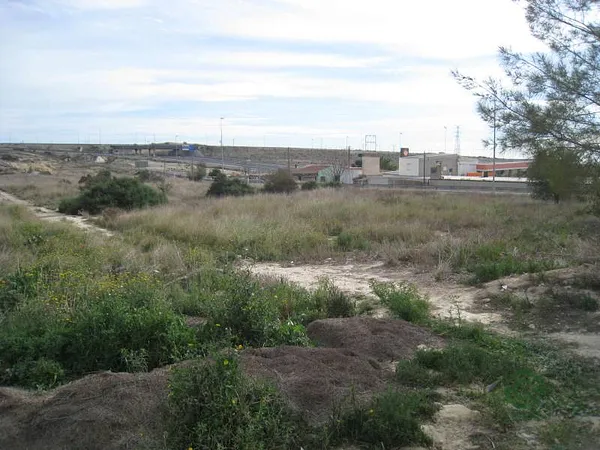 Spot image