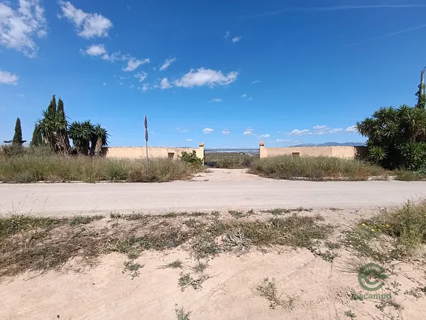 Spot image