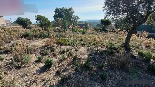 Spot image